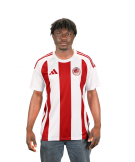 Batman Petrolspor 2024-2025 Klasik Çubuklu Forma 