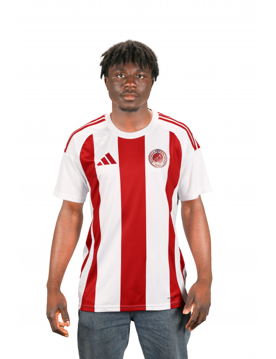 Batman Petrolspor 2024-2025 Klasik Çubuklu Forma 